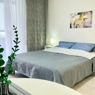 Фотография квартиры Квартира Уютная студия на Новгородском