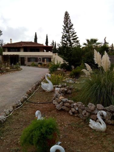 Фотография гостевого дома Villa Rita - Porto Cheli