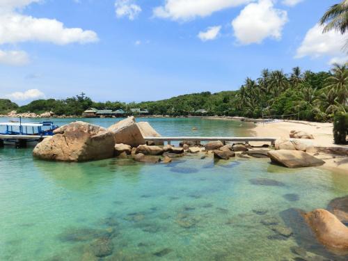 Фотография гостиницы Whale Island Resort