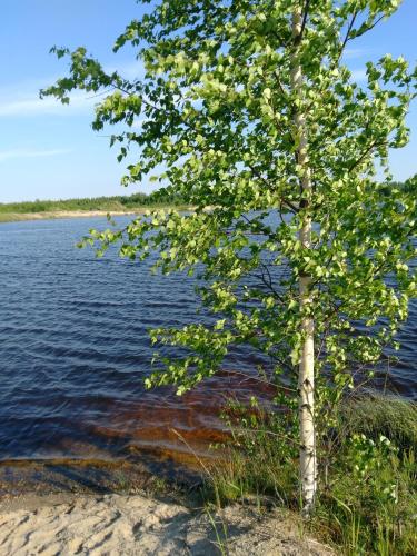 Фотографии гостевого дома 
            Гостевой Дом на Строителей