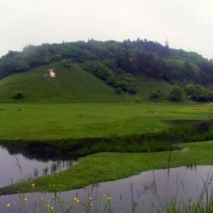 Фотография достопримечательности Ботанический заказник Вишневая гора