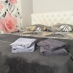 Фотография квартиры Квартира Уютная в центре Хабаровска