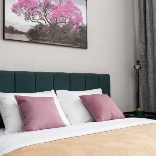 Фотография квартиры Апартаменты на улице Бородинская