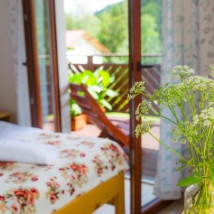 Фотография мини отеля Hillton Jawornik