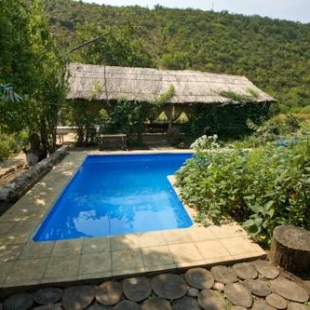 Фотография гостевого дома Casa din lunca