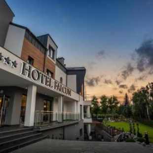 Фотография гостиницы Hotel Falcon