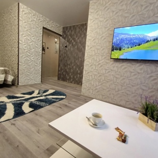 Фотография квартиры Апартаменты на Бардина