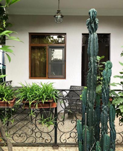 Фотография гостевого дома Отдых у Заиры