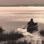 Фотография гостевого дома Marsh View Cottage, Aldeburgh