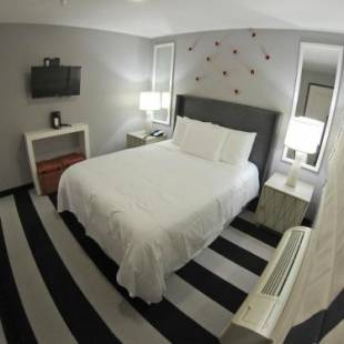 Фотографии гостиницы 
            Hollywood Le Bon Hotel