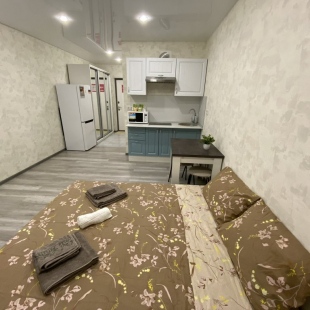 Фотография квартиры Апартаменты Студия на Вице Адмирала 9