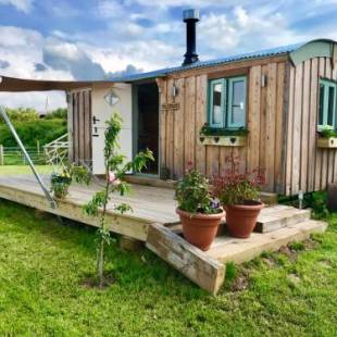 Фотографии базы отдыха
Willowbank shepherds hut