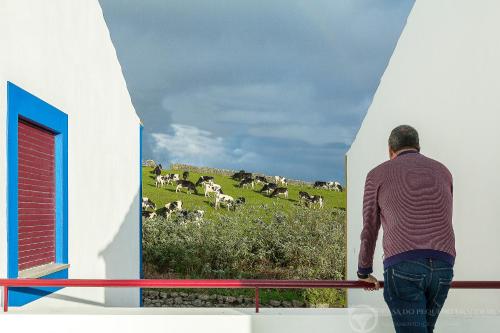 Фотография гостевого дома Casa do Pequeno Dragoeiro