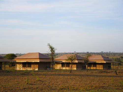 Фотография базы отдыха Serengeti Wild Camp
