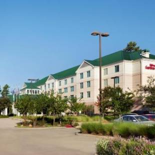 Фотографии гостиницы
Hilton Garden Inn Houston/The Woodlands
