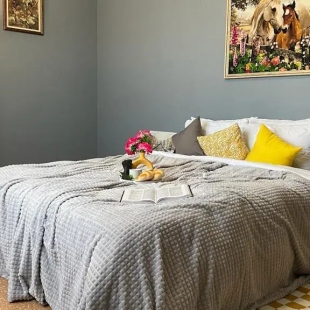 Фотография квартиры Апартаменты Yousinn (Юсинн) на улице Добролюбова