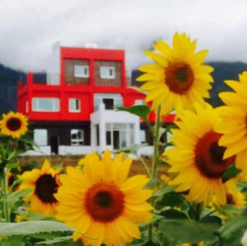 Фотография мини отеля The Song of Eagle