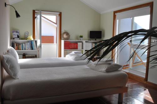 Фотография мини отеля SUN & SAND GUESTHOUSE