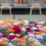 Фотография мини отеля Kisoya