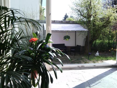 Фотографии гостевого дома
Pension TimeOut