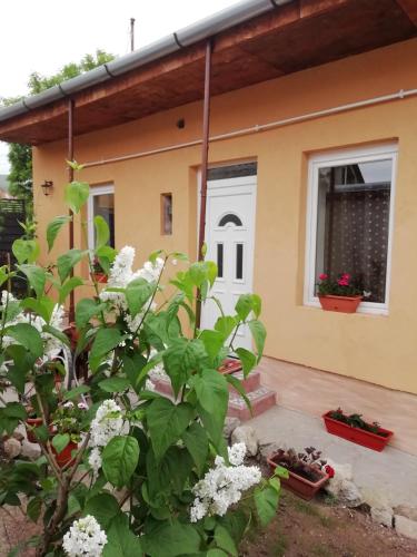 Фотография гостевого дома BORINA VENDÉGHÁZ