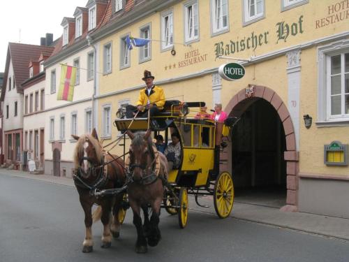 Фотография гостиницы Badischer Hof