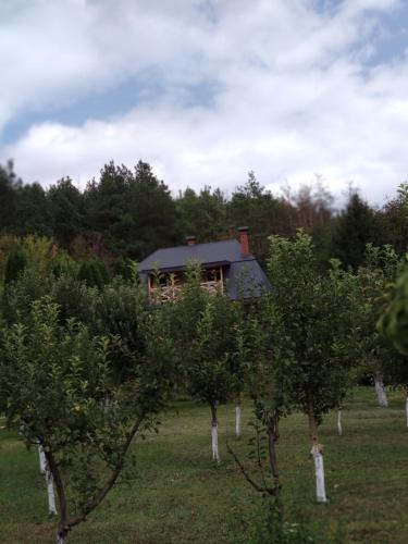 Фотография гостевого дома Пилигрим