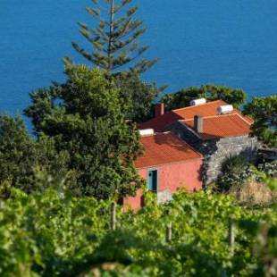 Фотографии гостевого дома 
            Quinta das Vinhas