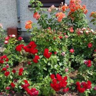 Фотографии гостевого дома
Guest House Gero Vėjo Namai