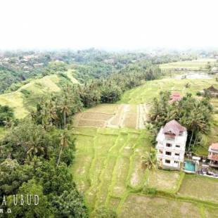 Фотографии мини отеля 
            Nirwa Ubud Karma