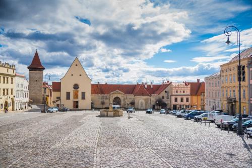 Фотография гостевого дома Renesanční vinařský dům v historickém centru Znojma