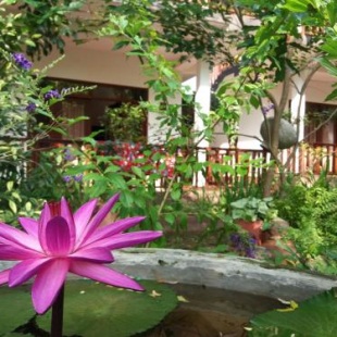 Фотография мини отеля Heaven in Satinwoods