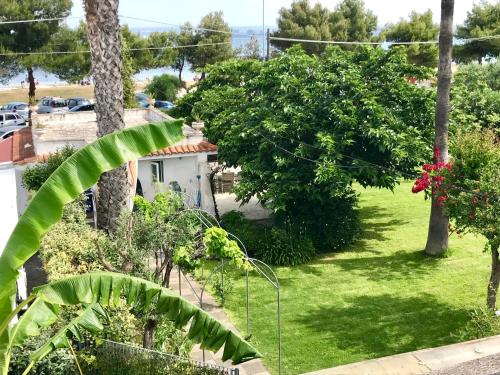 Фотография гостевого дома Villa Valentina