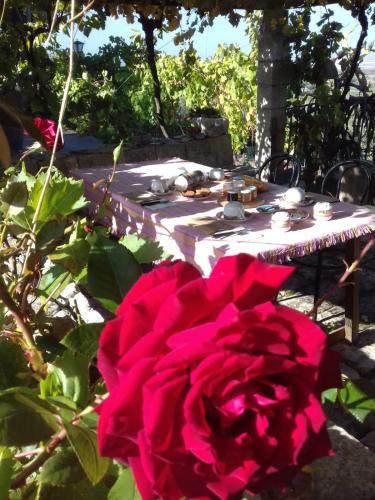 Фотография мини отеля Ronnavona Casa Vacanze B&B