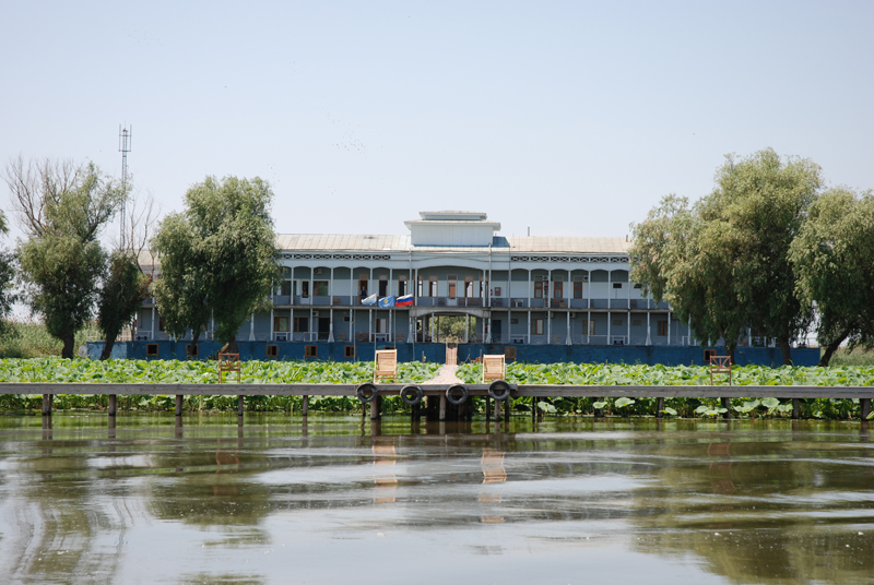 Фотография базы отдыха Волга-Дельта