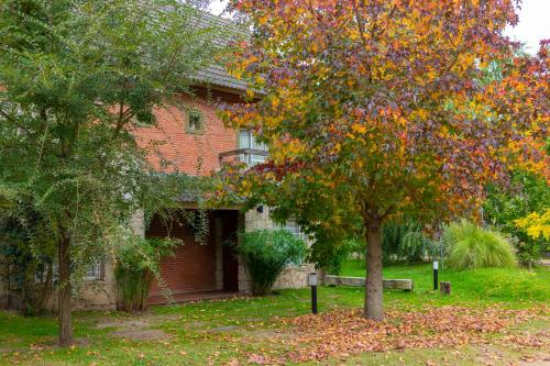 Фотография гостиницы Valeria House Rental Suites