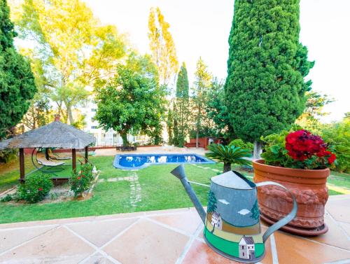 Фотографии мини отеля
Casa Paraíso Boutique B&B