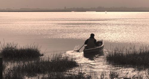 Фотография гостевого дома Marsh View Cottage, Aldeburgh