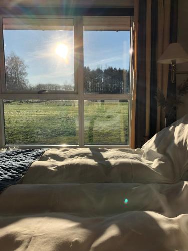 Фотография гостиницы Hotel Møllehuset