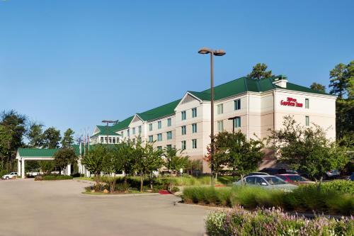 Фотография гостиницы Hilton Garden Inn Houston/The Woodlands