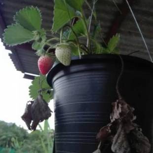 Фотографии мини отеля
บ้านสวนปวิชญา เกษตรอินทรี