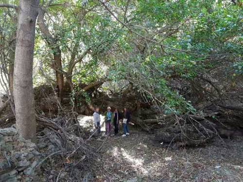 Фотография гостевого дома Yahshigul