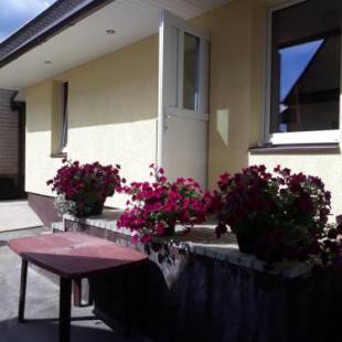 Фотографии гостевого дома 
            Alyvos