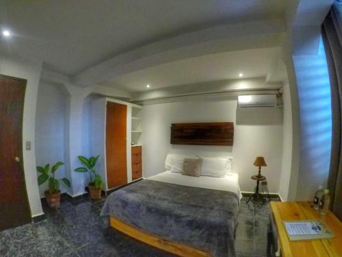 Фотография мини отеля Cinco Hotel B&B