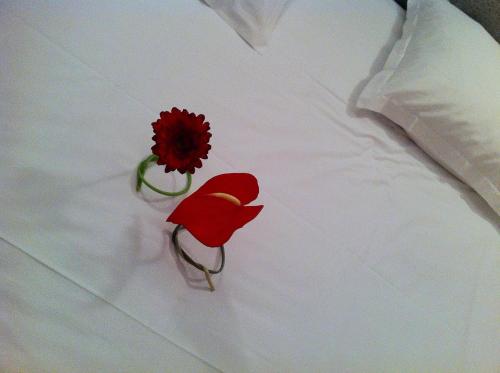 Фотография гостиницы Fasthotel L'Eldorado