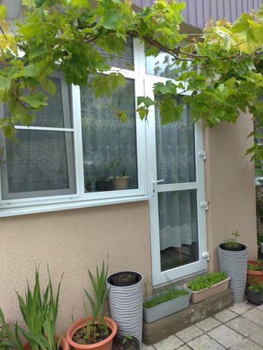 Фотография гостевого дома Экватор