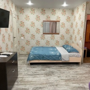 Фотография квартиры Апартаменты Двухкомнатные на 6 человек в самом центре города у парка развлечений им.Горького