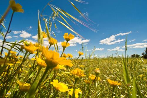 Фотография базы отдыха Quercesecca