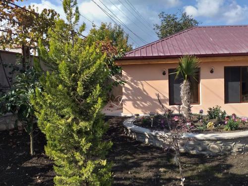 Фотография гостевого дома Grandfather Hotel Anzori