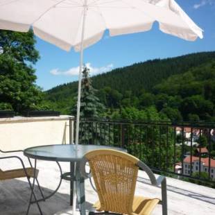 Фотографии гостевого дома 
            Hotel Waldhaus-Hutzelhöh